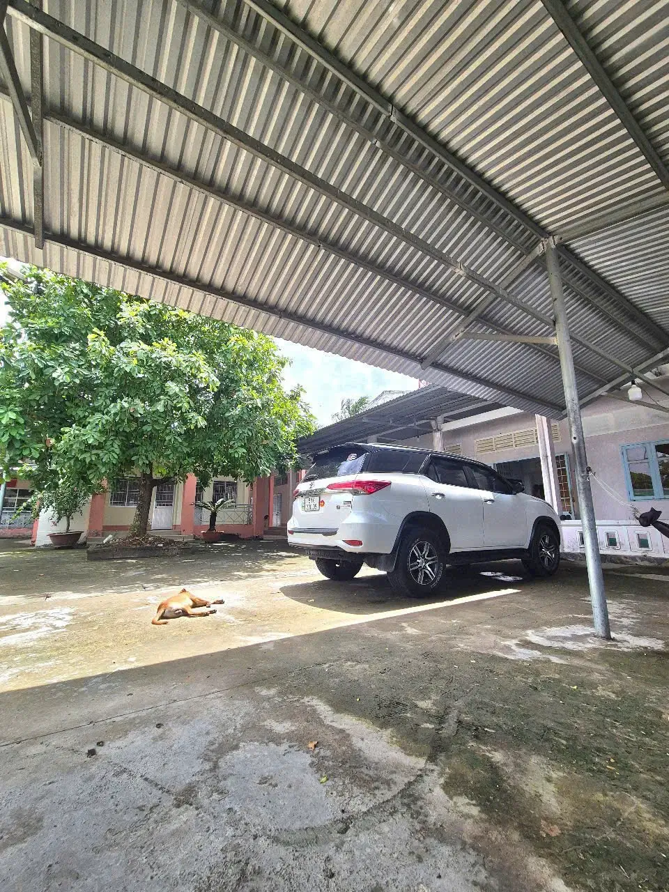 Phương án thuê xe 7 chỗ đi Cái Bè được rất nhiều người lựa chọn